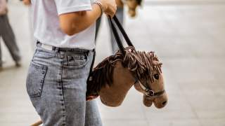 Hobby horse / Materiał Klienta