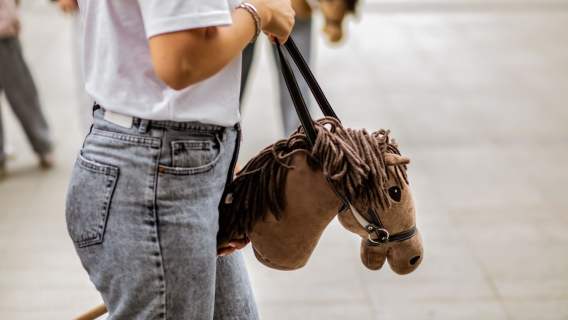 Hobby horse / Materiał Klienta