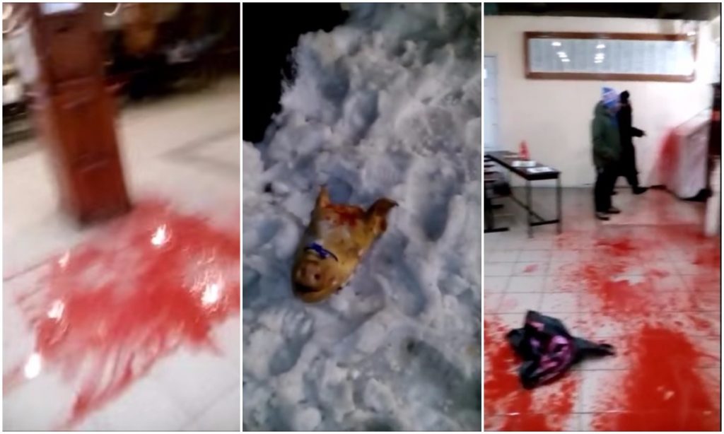 Ukraina: Żydzi w szoku po profanacji grobu. Świńska głowa ze swastyką, krew i gaz łzawiący (VIDEO +18)