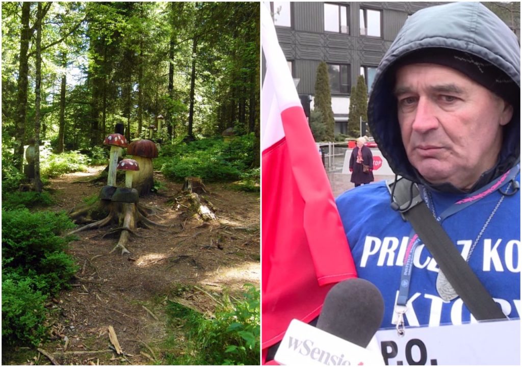 Całe życie siedział w lesie na grzybach, teraz broni władzy przed KOD-em (video)