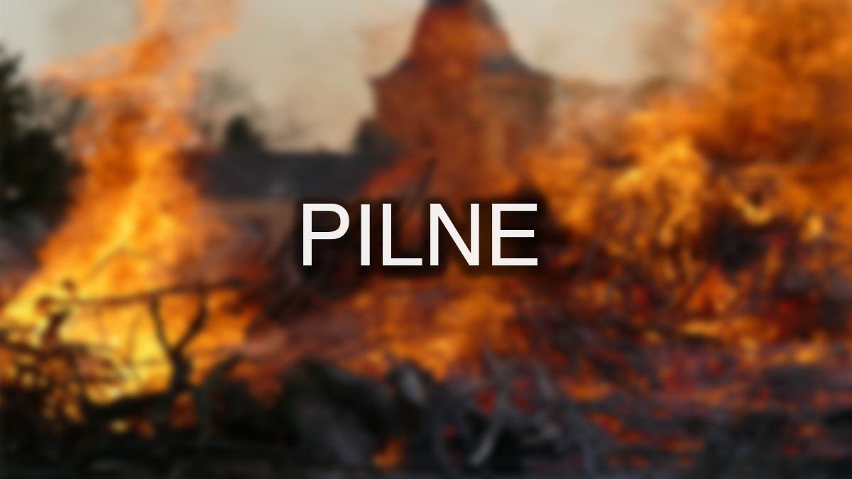 Płonie 40 hektarów pod Warszawą! 100 strażaków walczy z kataklizmem