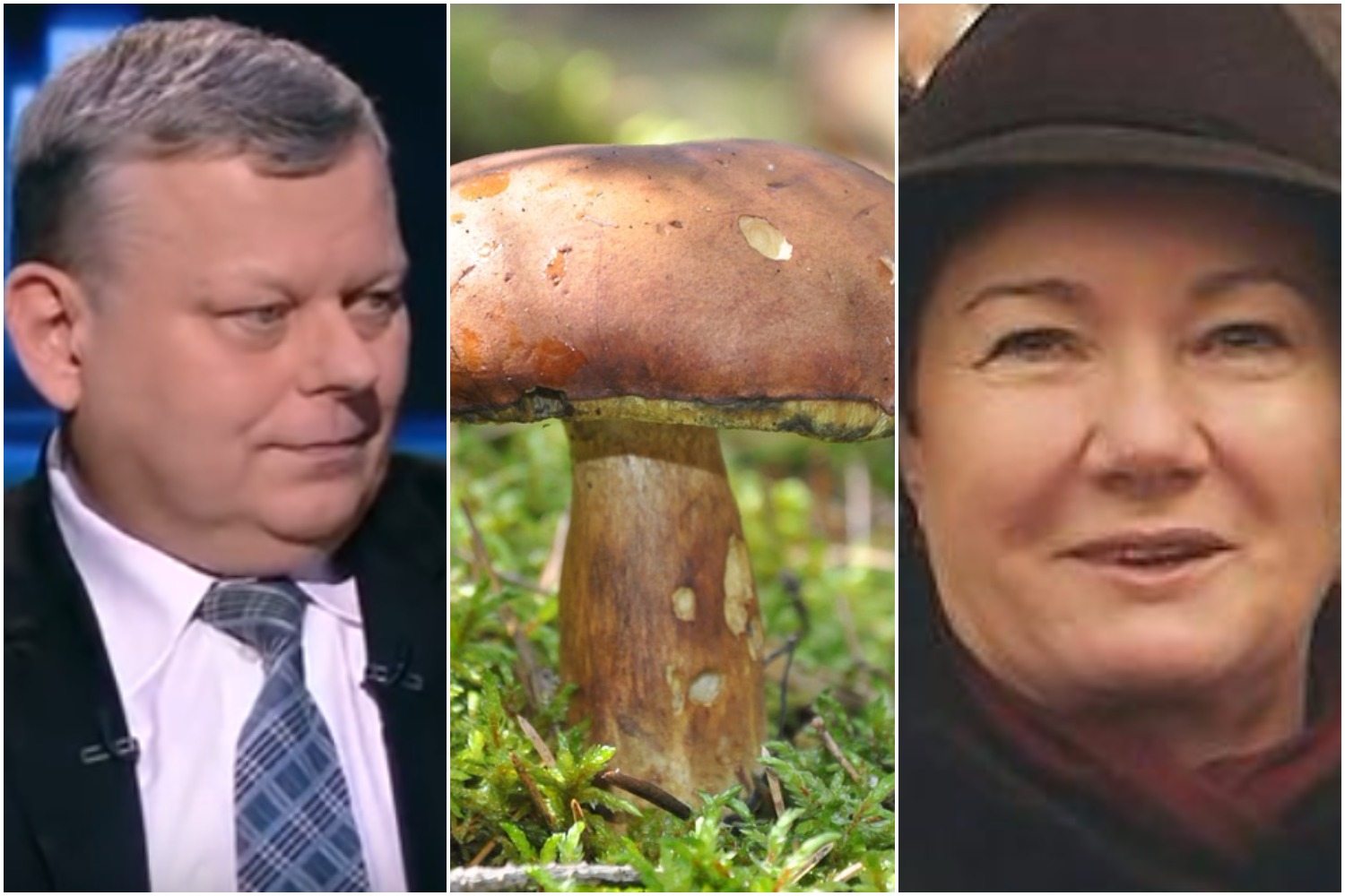 Suski ujawnia... “aferę grzybową”. Tak Platforma miała uratować HGW (VIDEO)