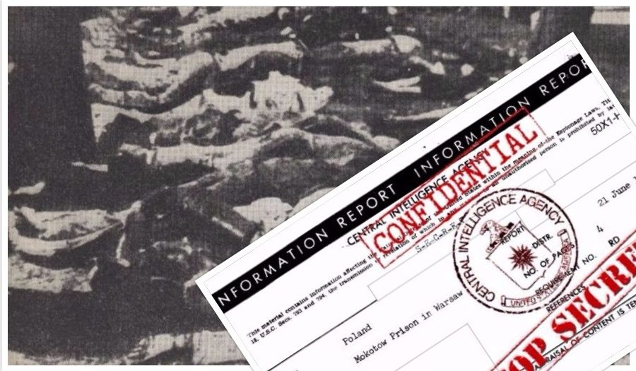Szokujący raport CIA odtajniony. Na terenie Polski po wojnie miało miejsce nieznane dotąd ludobójstwo 10 000 osób