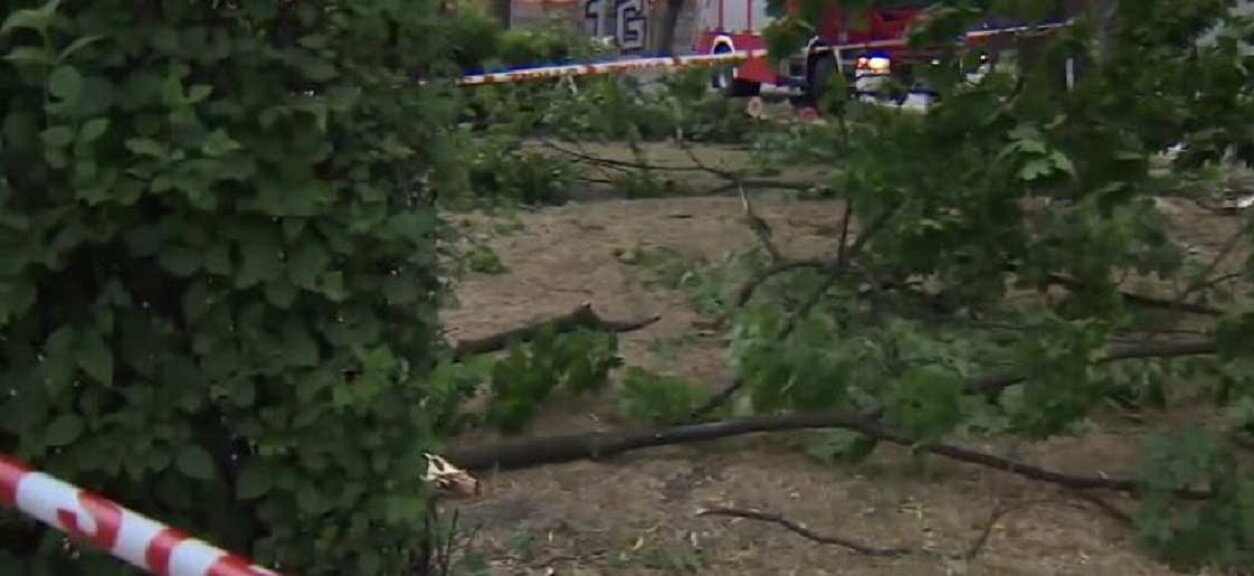 "Tak jakby trąba powietrzna przeszła". TVN relacjonuje skutki wczorajszych burz, widok jest opłakany