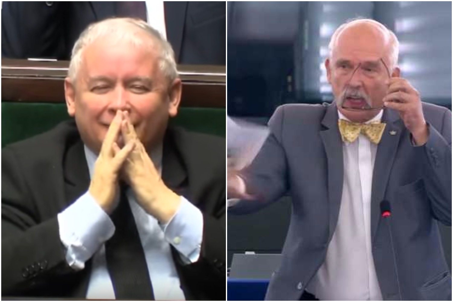Nowy sondaż: Fiesta PiS, koszmar i blamaż partii Wolność (KORWiN)