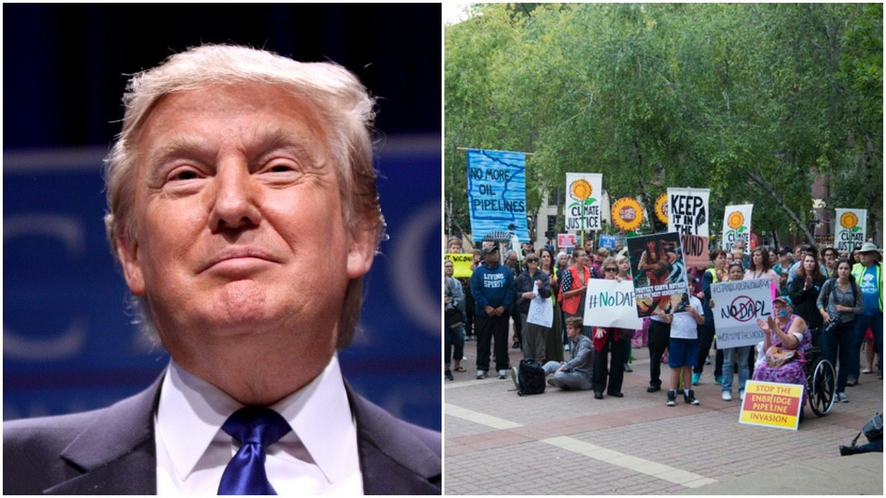 Trump jedną decyzją rozwścieczył ekologów. Chcą go pozwać do sądu