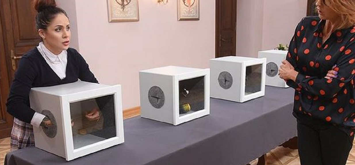Wściekli widzowie linczują "Projekt Lady". Zarzucają im, że zrobili show kosztem zwierząt, a jedno z nich nie przeżyło