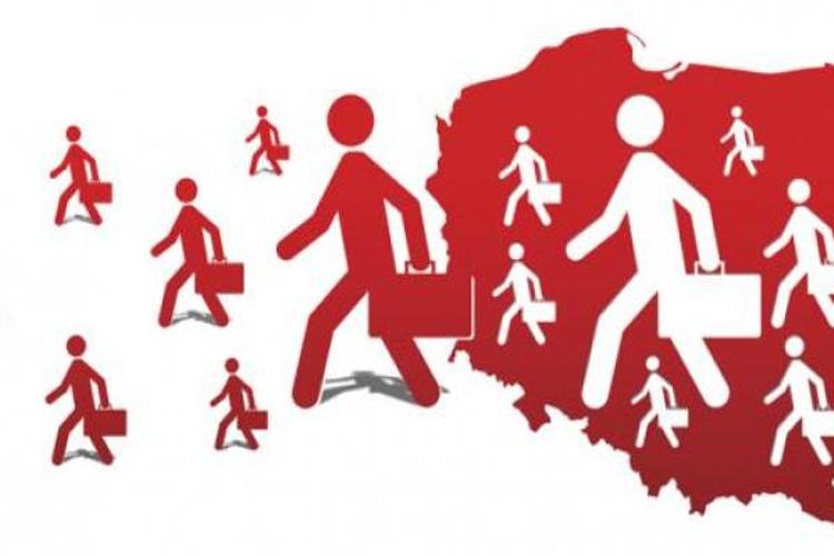 Posłanka PO o emigracji młodych: Chcą zobaczyć inne kraje