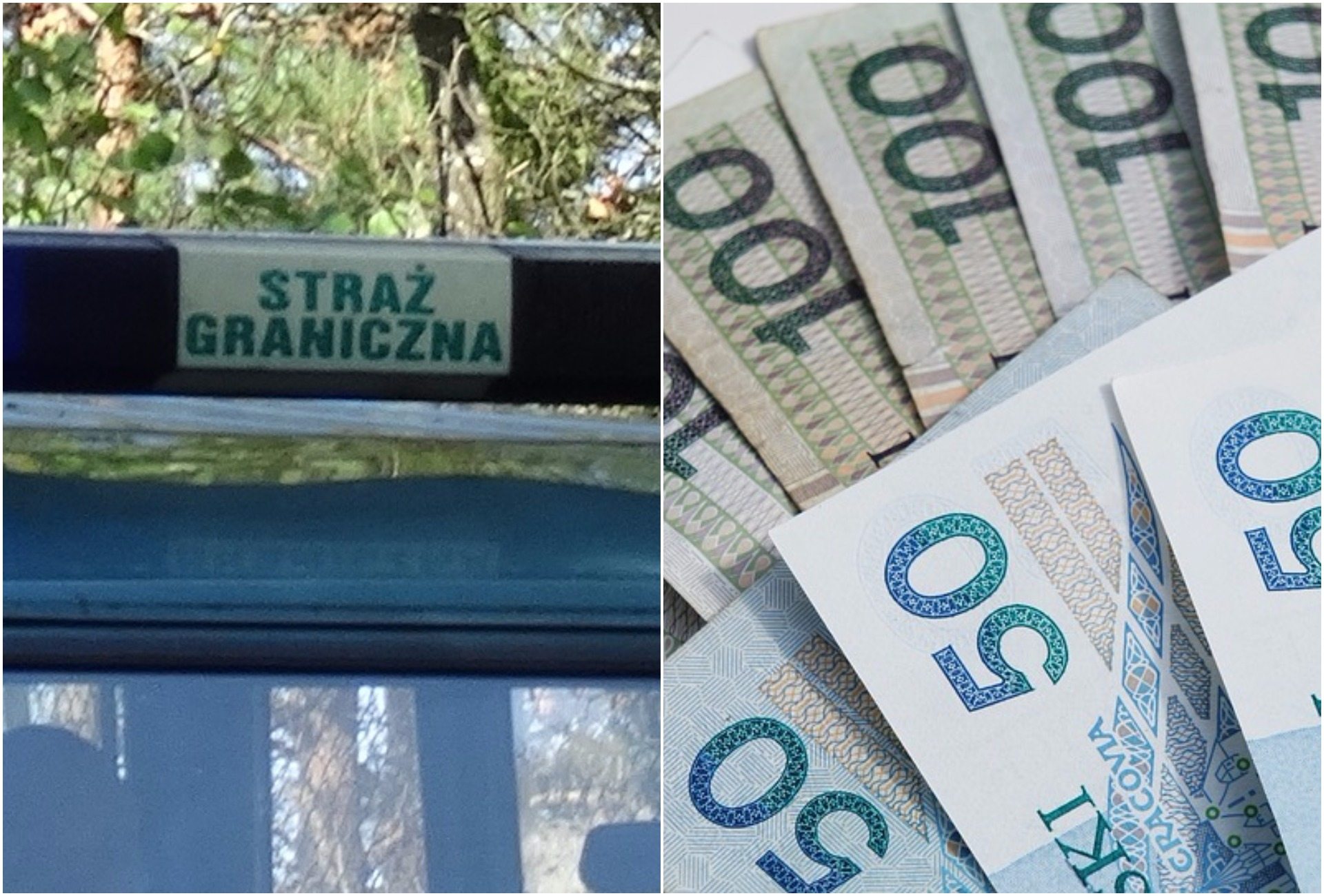 Absurdalny mandat wystawiony przez Straż Graniczą. Nie uwierzycie za co