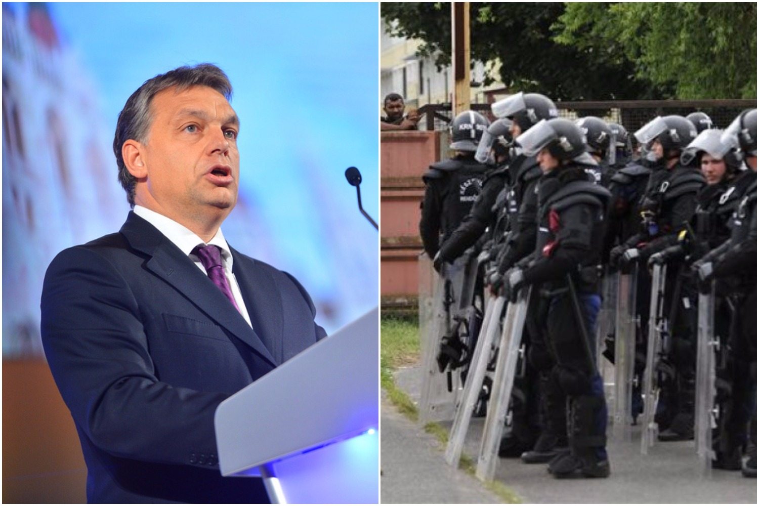 Zaskakująca decyzja Orbana. Zaprasza UCHODŹCÓW, ale nie zgadniecie jakich