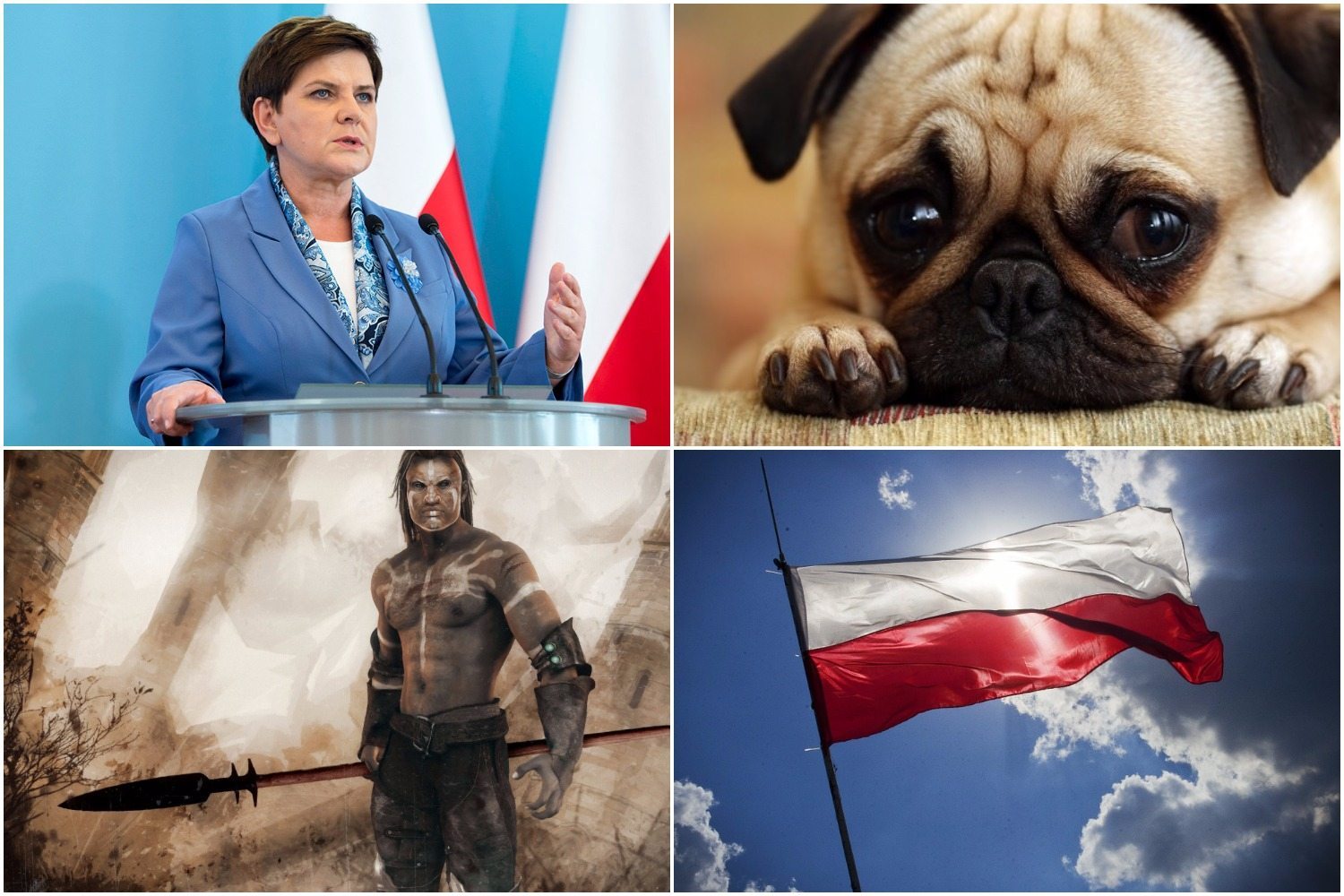 Telewizja pobiła rekord propagandy. "Przed Beatą Szydło Polacy polowali na psy i je jedli"