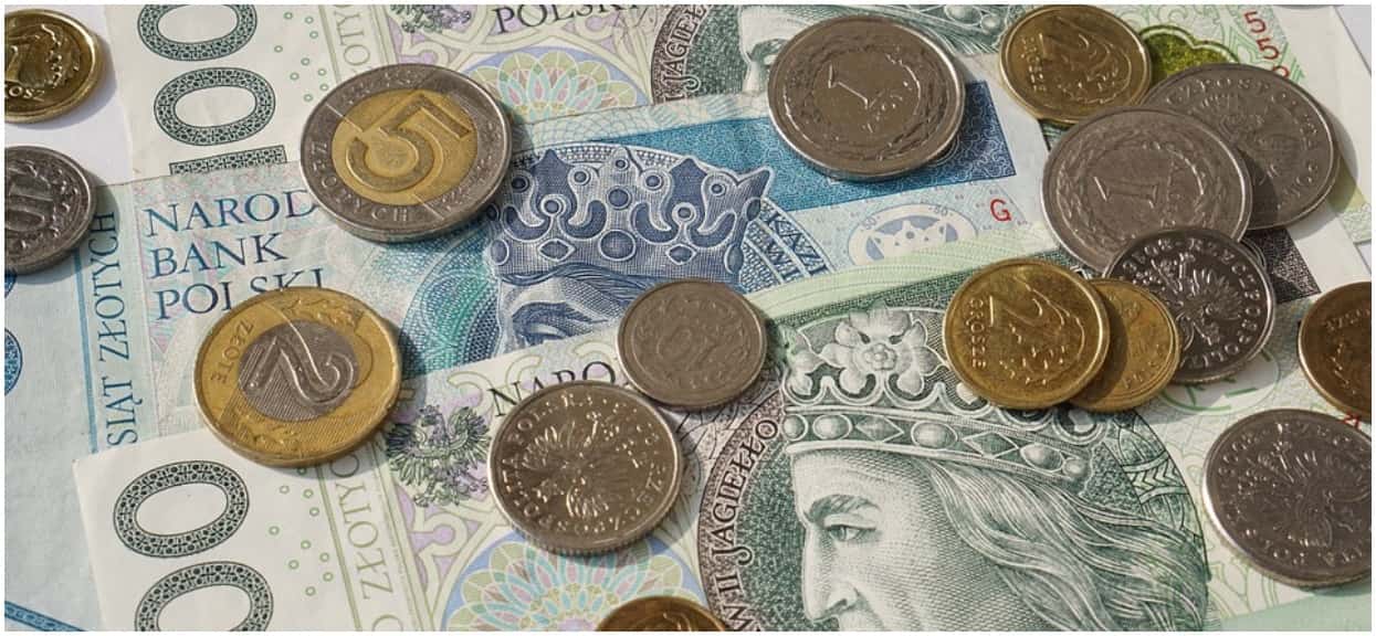 Dziennikarze wyłowili nowy szczegół w ustawie. Jeśli przekroczyłeś ten wiek, to dostaniesz dodatkowe 500 złotych