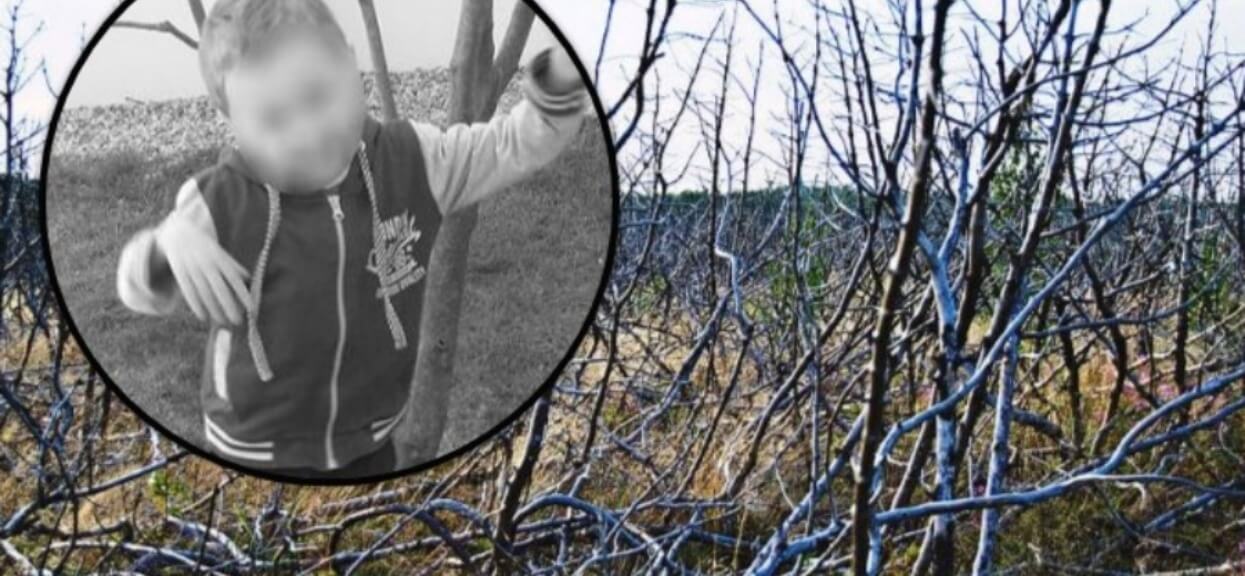 Właśnie podano jakie rany znajdowały się na ciele Dawidka. Ogrom krzywdy chłopca ściska za gardło
