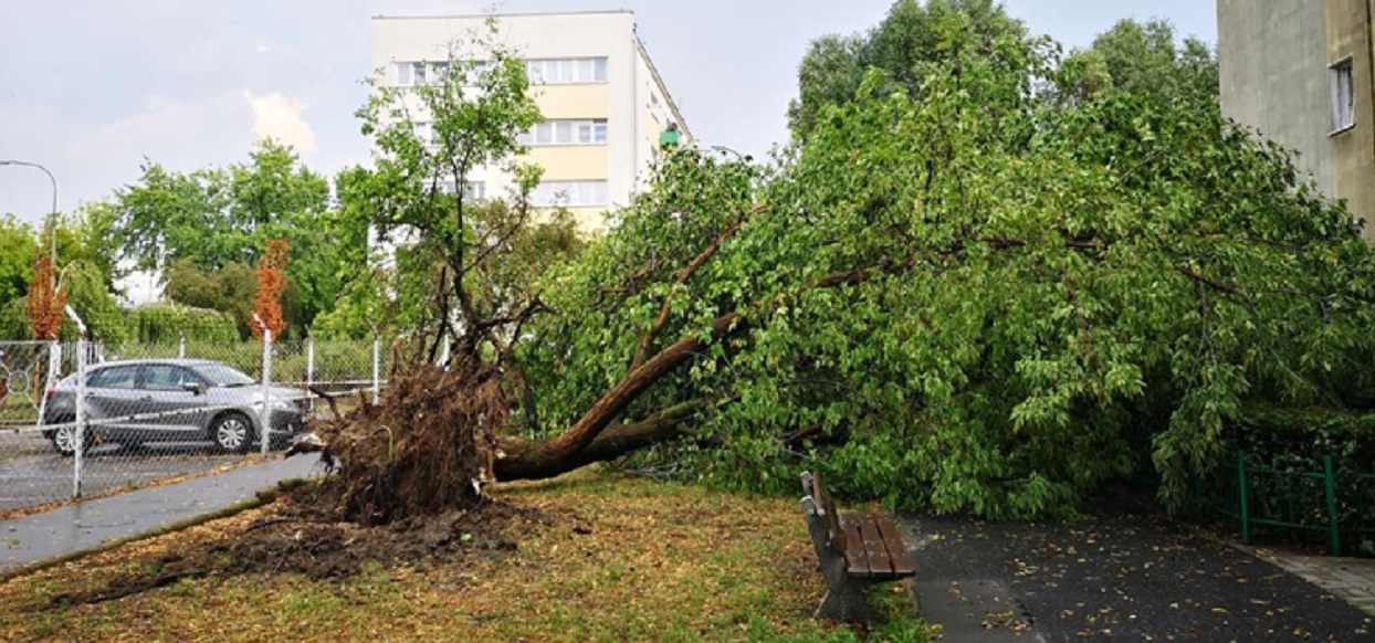 Widok jak po kataklizmie. "Wet microburst" uderzył w Warszawę