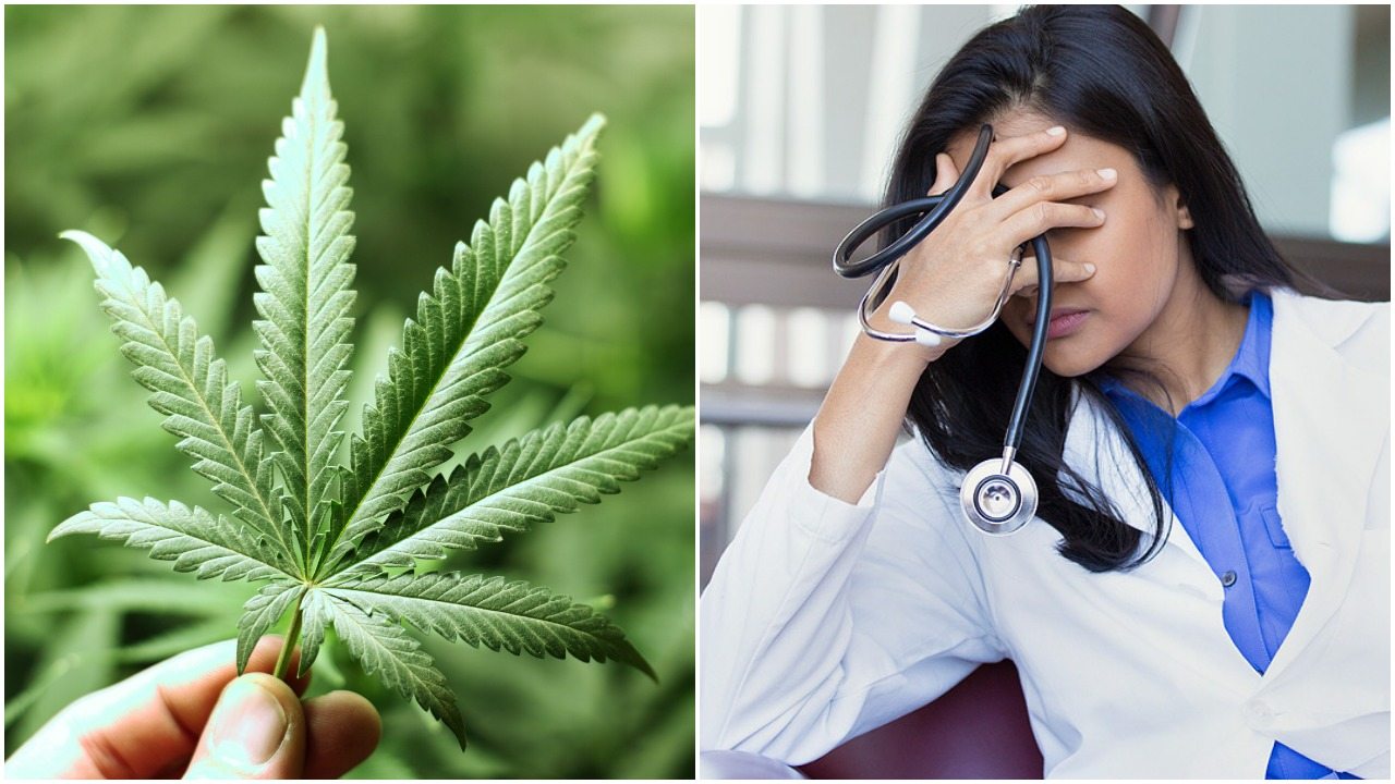 Zwrot w sprawie legalizacji medycznej marihuany. Chorzy i lekarze będą zawiedzeni