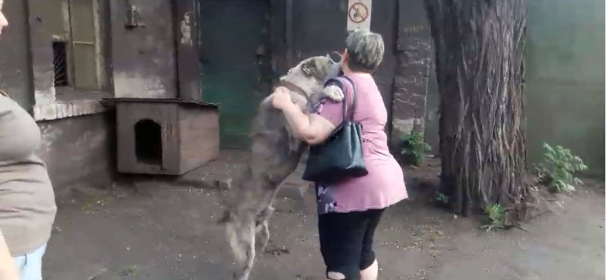 Dzięki internautom odnalazła zaginionego psa. Ich spotkanie po 2 latach rozłąki wyciska łzy z oczu