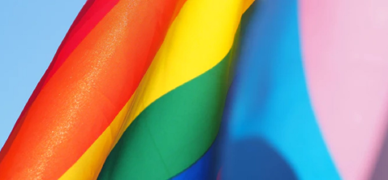 Polityk PiS obrzydliwie atakuje osoby LGBT. "Dewianci, podobni do nazistów"