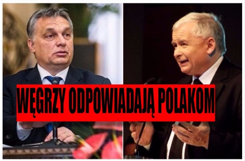 Węgrzy odpowiadają Polakom: Lojalność nie obowiązuje, gdy partner...