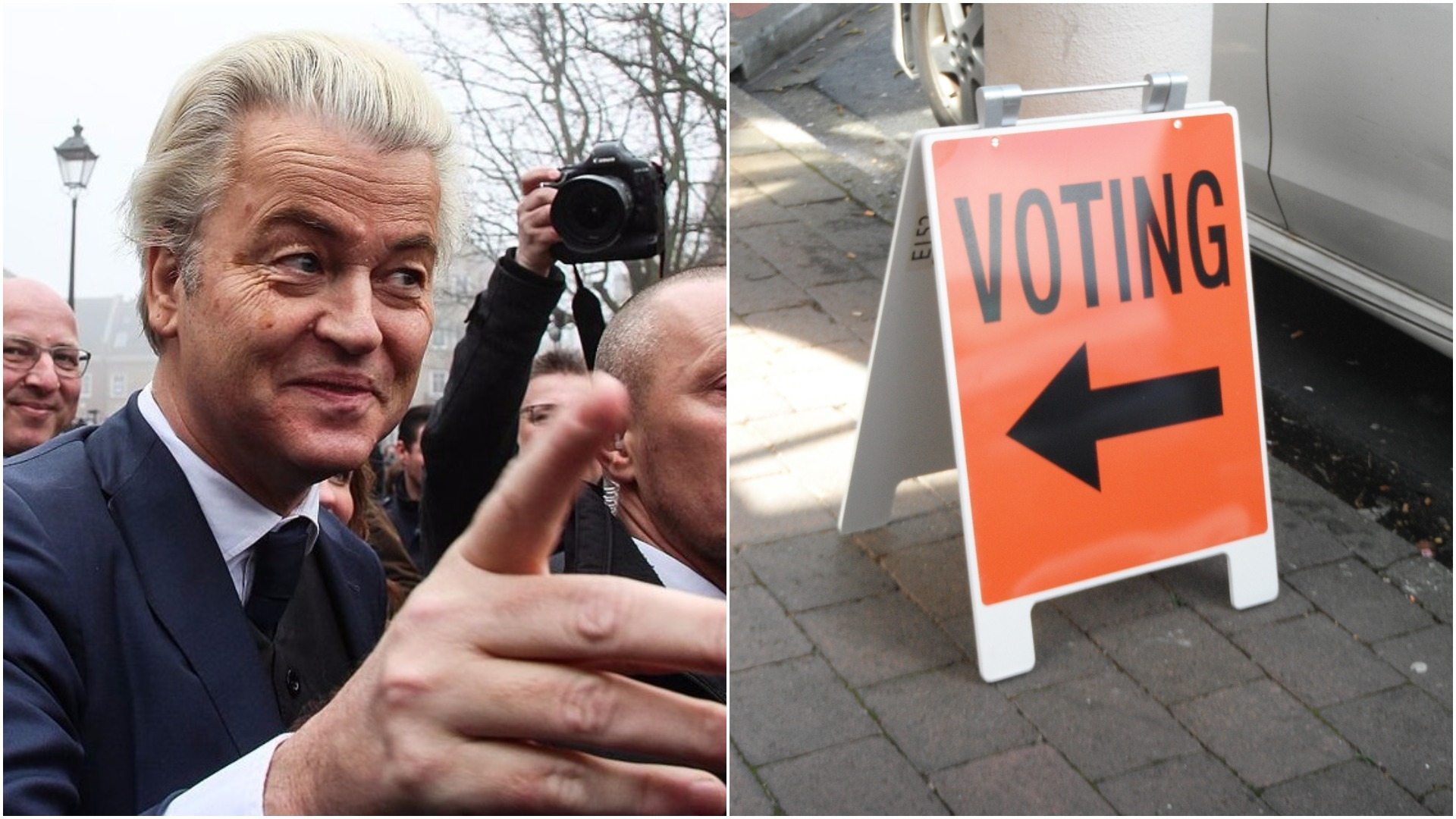 Wybory w Holandii. Wilders: Już zwyciężyliśmy!