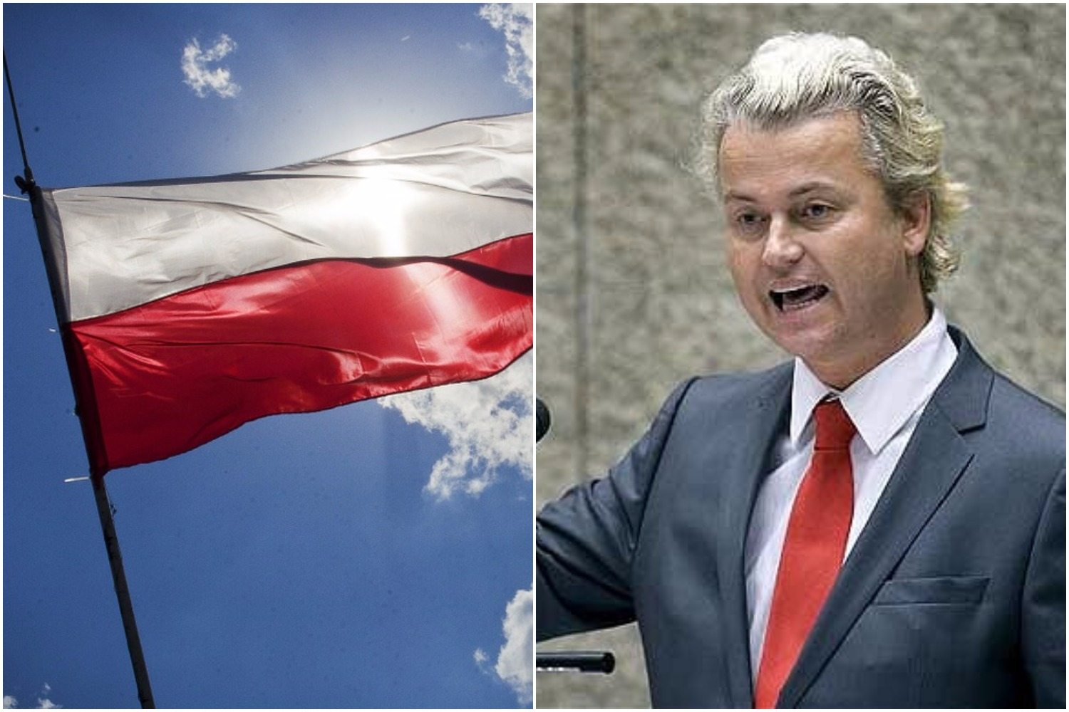 Wilders otworzy portal do donoszenia na Polaków. "Pijany Polak zabierze wam..."