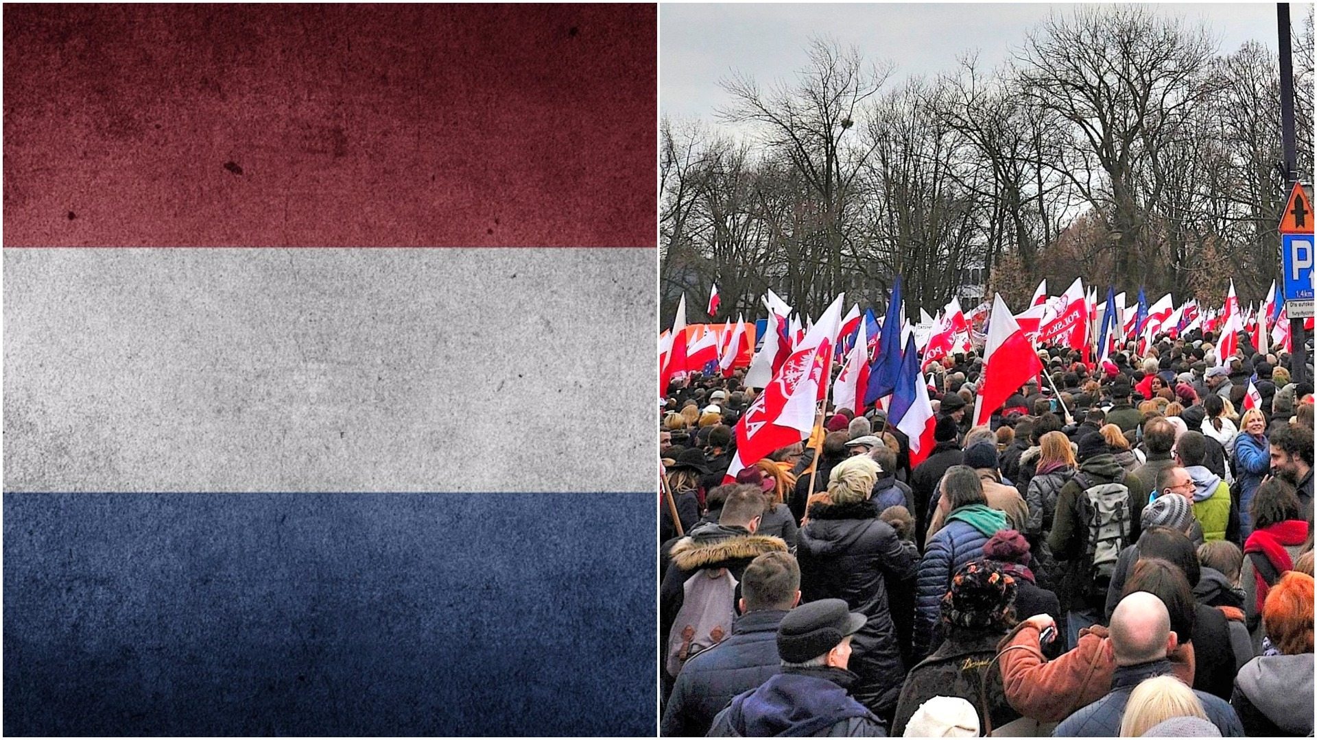 Polska opozycja pod wrażeniem Holendrów. "Znaleźli SPOSÓB na ,,dobrą zmianę"