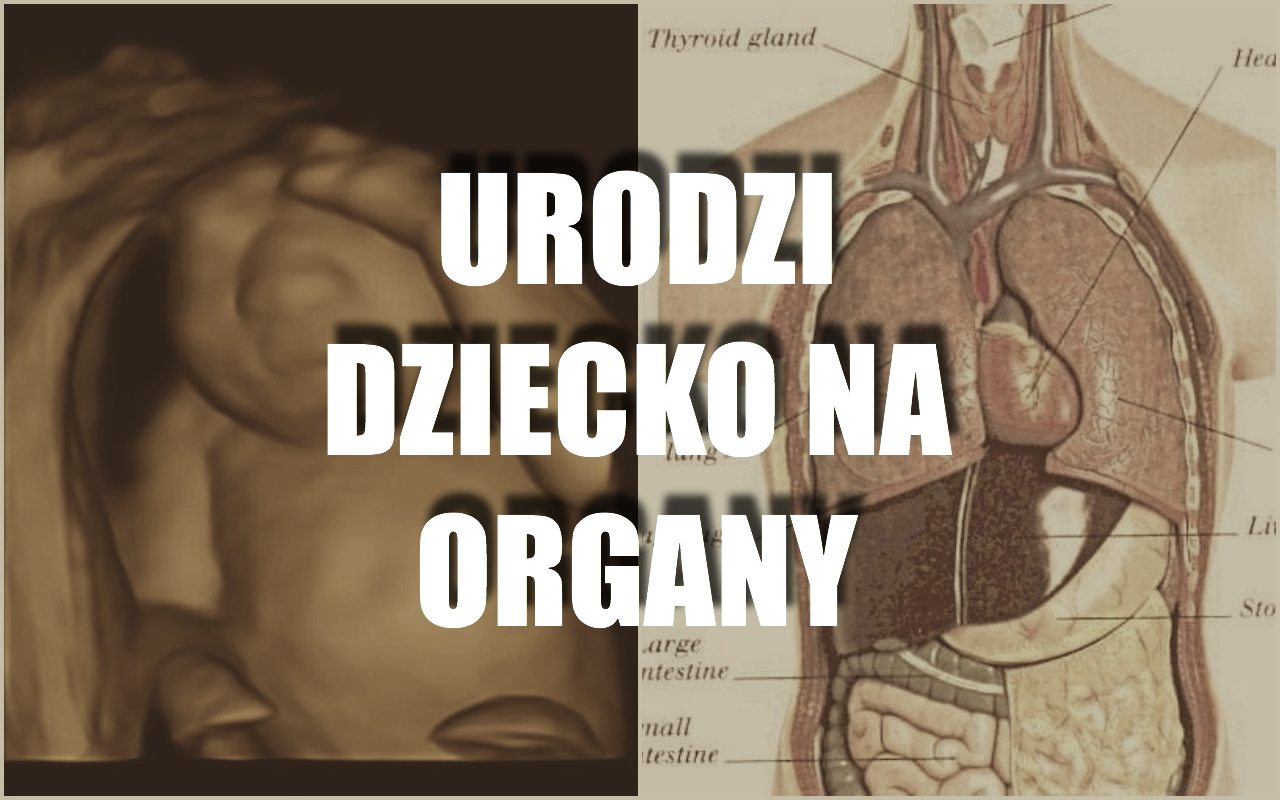 Takiej burzy w internecie nigdy nie było. Kobieta urodzi dziecko tylko dla jego organów