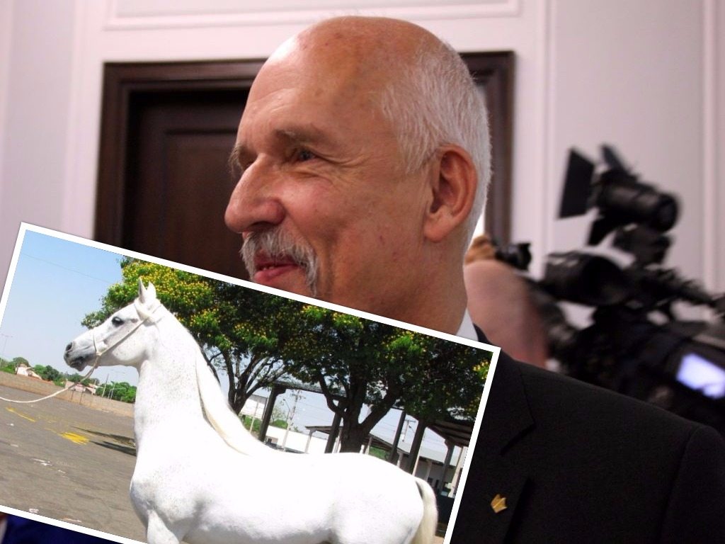 Korwin atakuje znanego polityka. "Nie dość, że homoseksualista to jeszcze zoofil"