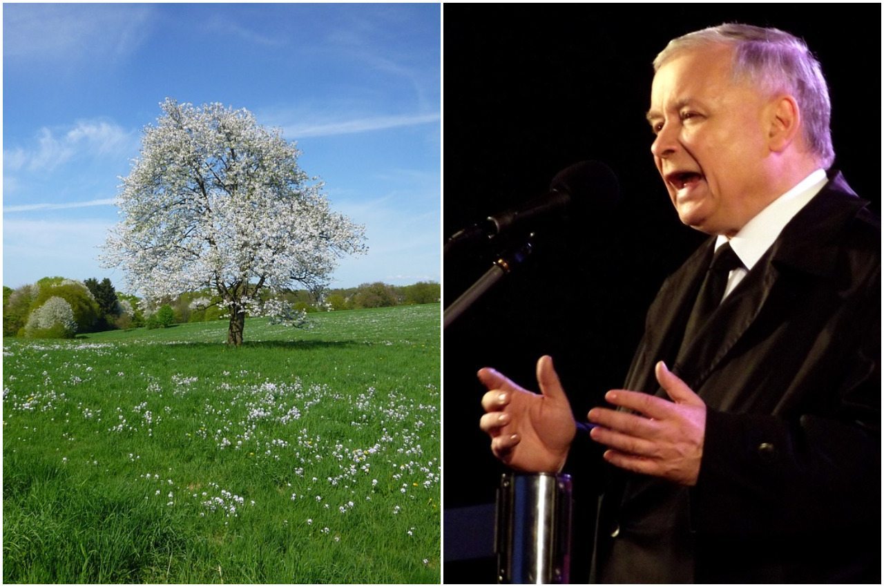 Według PiS-u obchody pierwszego dnia wiosny są.. niebiezpieczne!