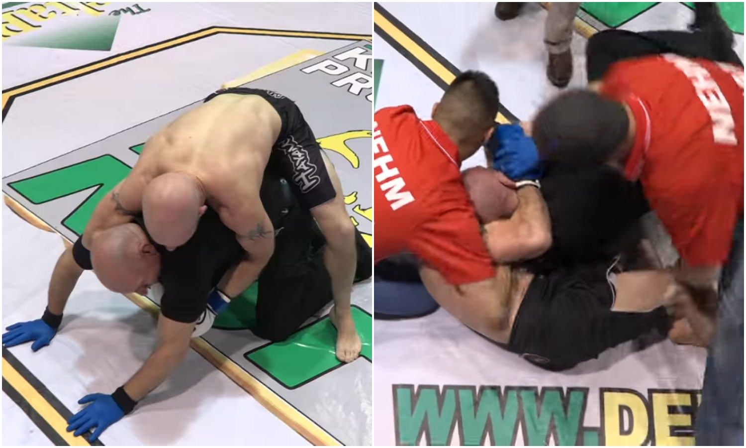 Zdumiewająca pomyłka zawodnika MMA. Próbował pokonać... sędziego (VIDEO)