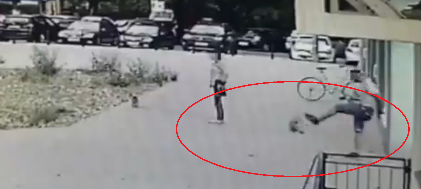 W głowie się nie mieści! Mężczyzna nagle z wielkim impetem kopnął bezbronnego psa (WIDEO)