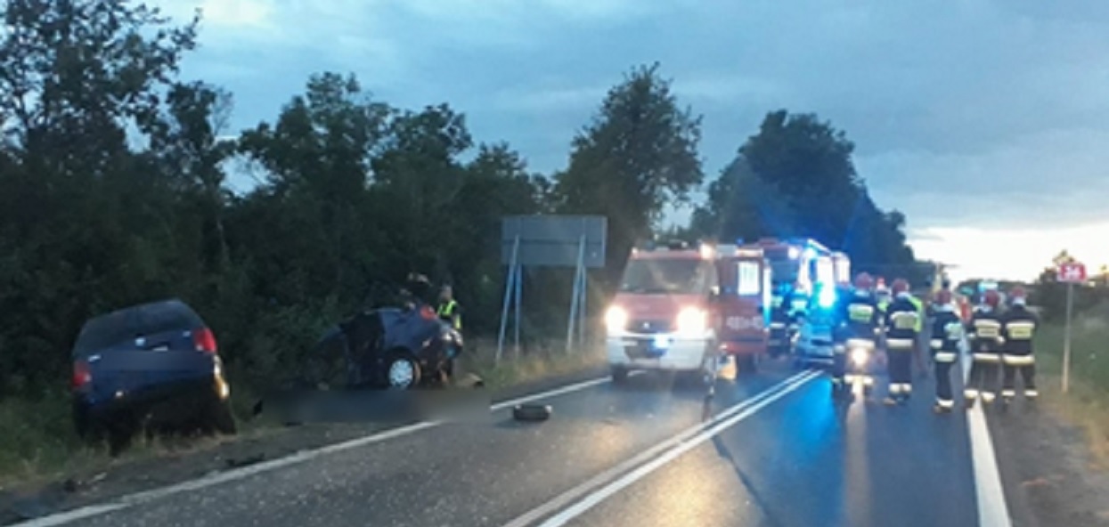 Jechali do pracy za granicą. 5 Polaków nie żyje