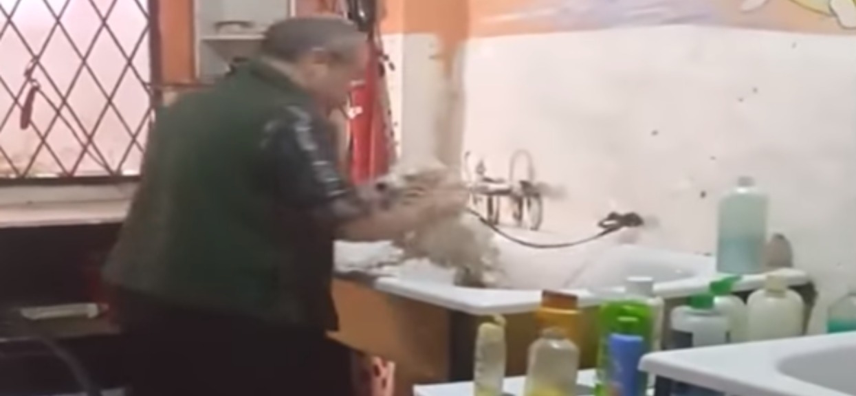 Mąż nie wiedział, że żona nagrywa go po kryjomu. Myślał, że jest z pieskiem sam na sam