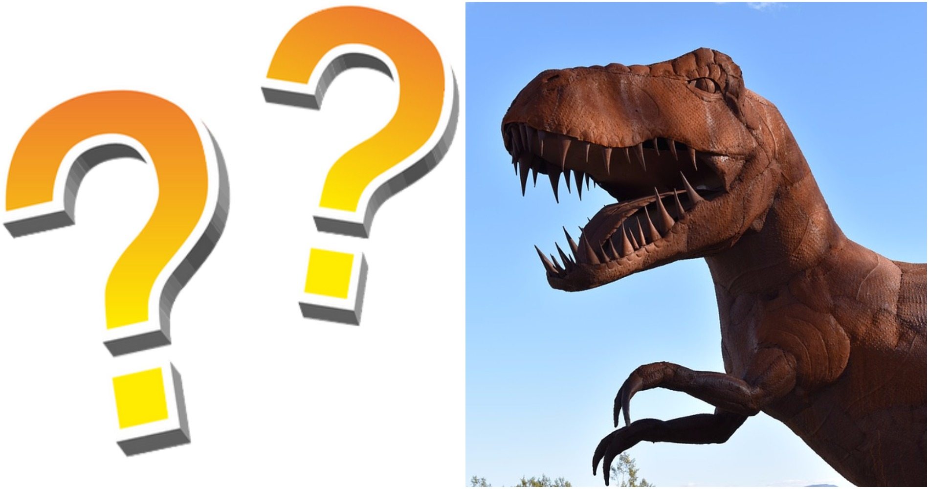 To Co Wiemy O Dinozaurach Może Być Nieprawdą Nowe Odkrycia Naukowców Z 9746