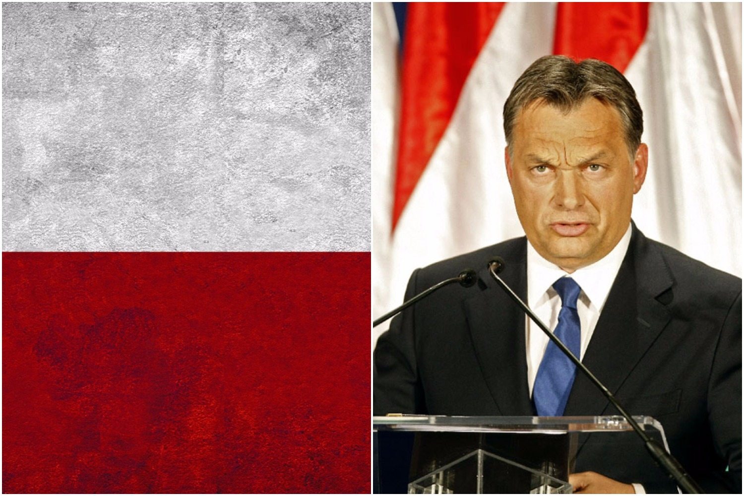 Viktor Orban szczerze: Zazdrościmy Polsce!