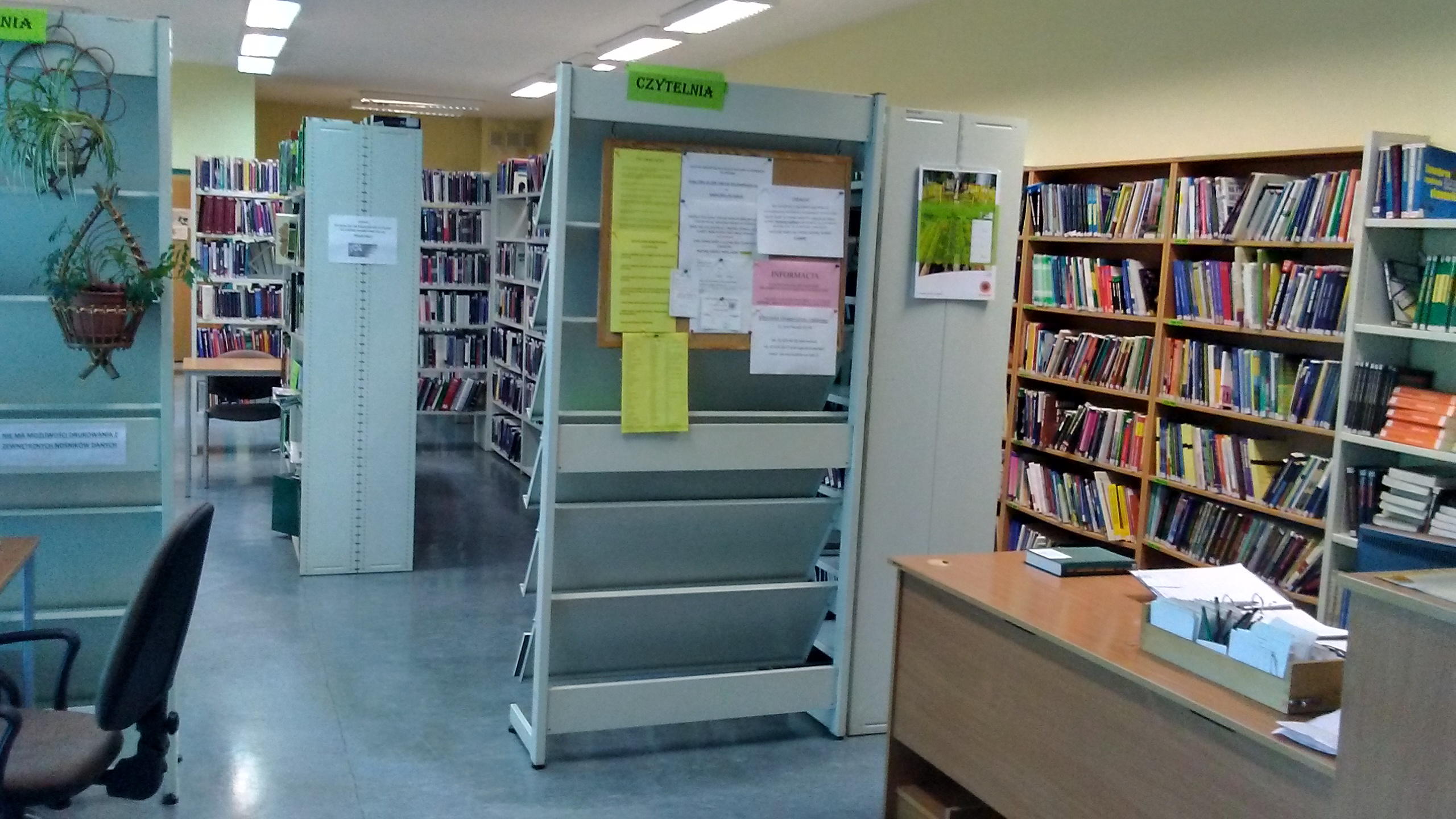 Ksiądz usunął ze szkolnej biblioteki książki o Harrym Potterze. Twierdzi, że są w nich prawdziwe zaklęcia