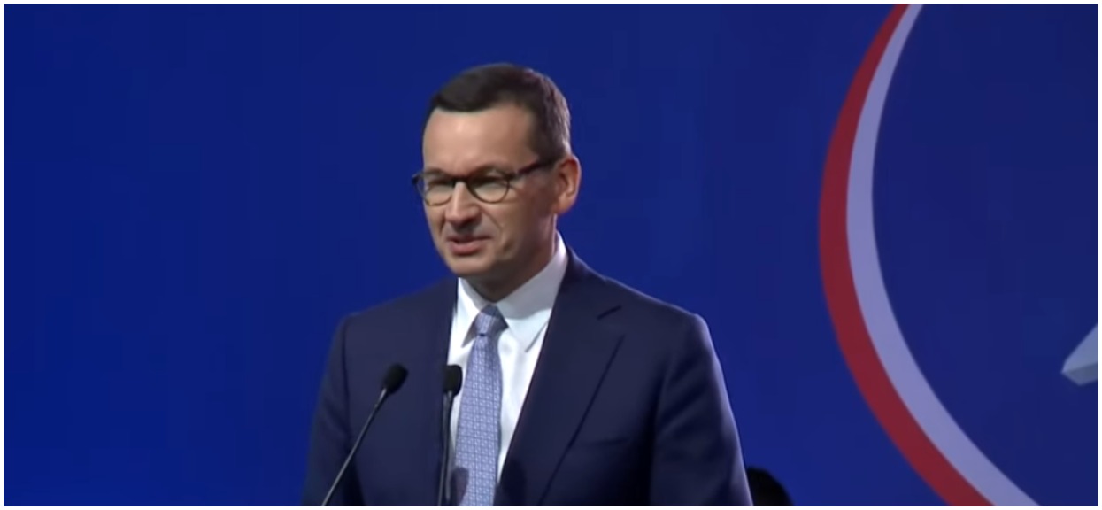 Mateusz Morawiecki obiecał posadzenie setek milionów drzew. Internauci wyliczyli, że to niemożliwe