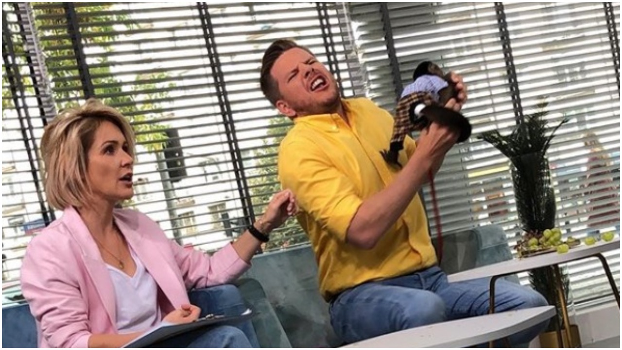 Małpa ugryzła Chajzera w DDTVN. Kinga Rusin nie zostawiła na nim suchej nitki
