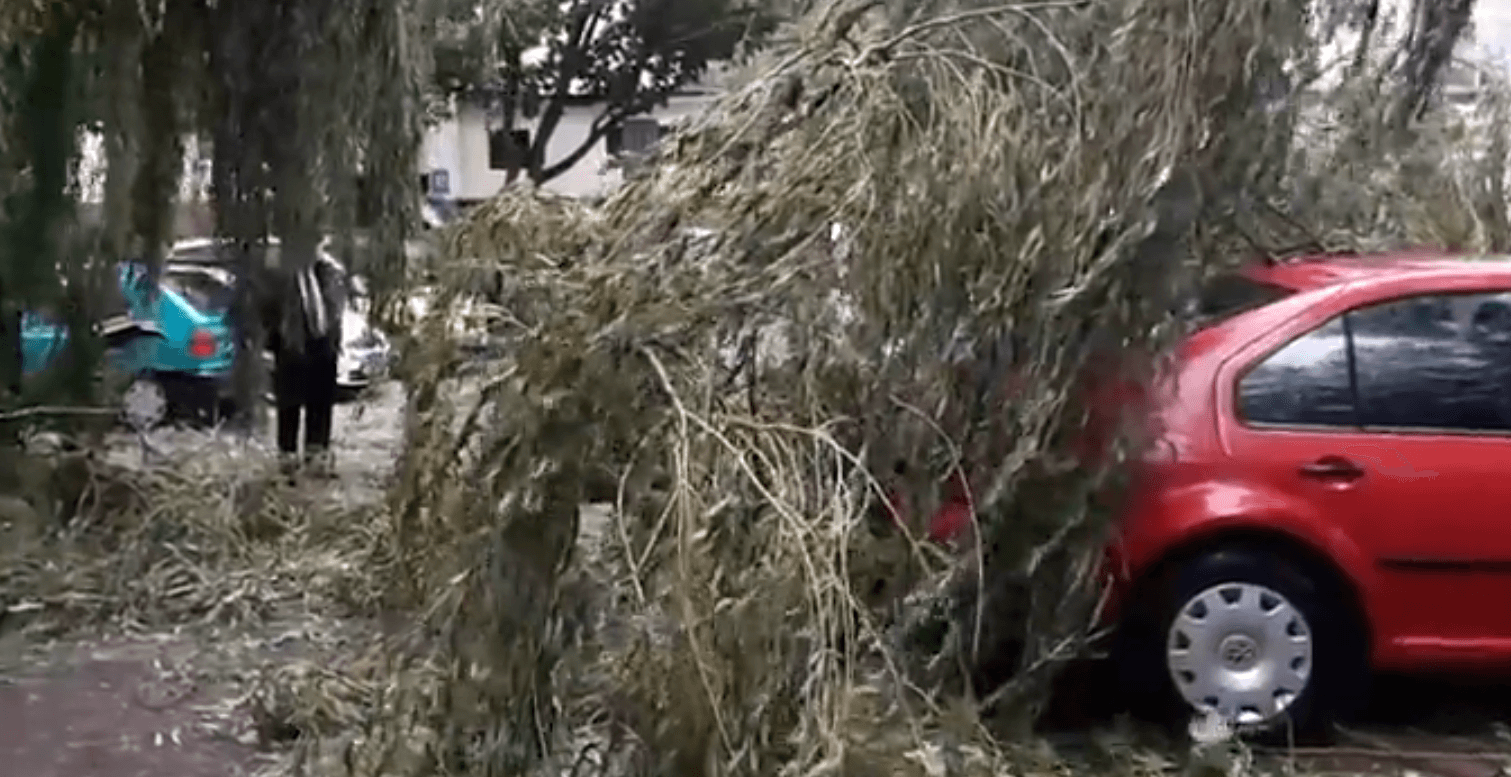 TVN: Koszmarne skutki dzisiejszej ulewy. Dwie osoby ranne, setki powalonych drzew