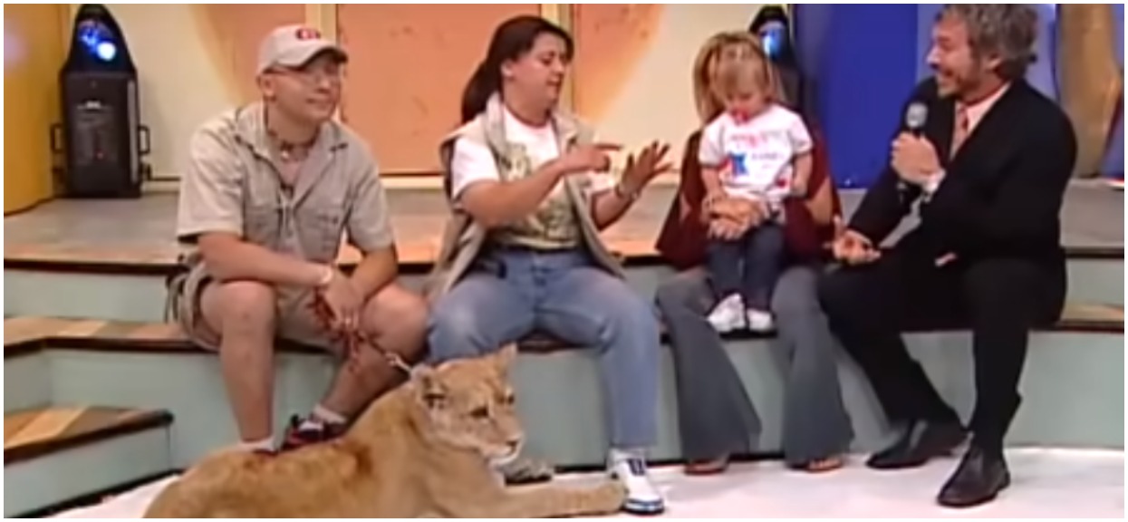 Dziecko i lew występowali razem w telewizji. Nagle zadziały się sceny, które nie miały prawa się wydarzyć
