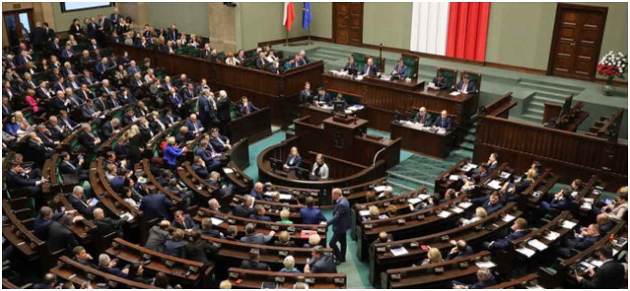 Adoptowali słodkiego, małego szczeniaka. Po dwóch latach straszna prawda wyszła na jaw, zmienił się nie do poznania