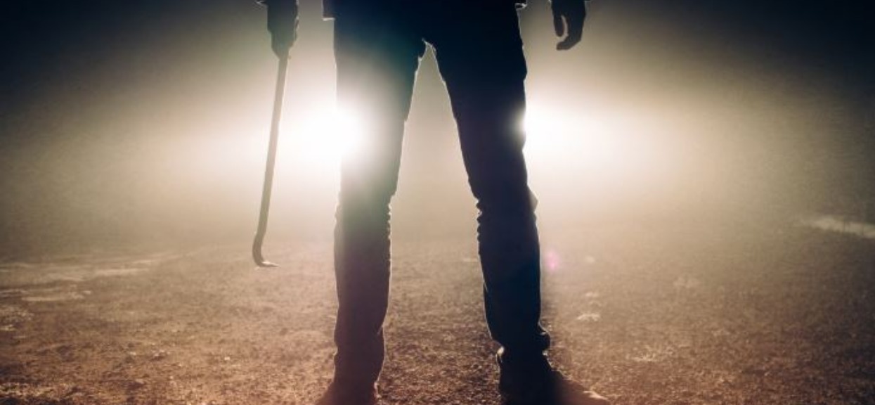 "Mafia rumuńskich grzybiarzy" terroryzuje Polaków. Służby ostrzegają: zrobią wszystko, żeby dorwać wielkie borowiki