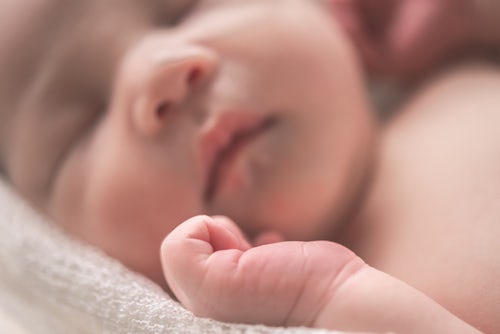 Usłyszał w lesie dziwne dźwięki i dokonał strasznego odkrycia. Mrówki żywcem zjadały noworodka