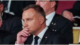 Pokazali jak bardzo wyrosły ich psy. Takich transformacji słodkich szczeniaków nie mogli się spodziewać