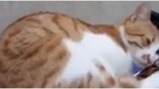 Bajeczne obiady z ziemniaków. Wiadomo z czym łączyć, by oszałamiająco wpływały na dietę