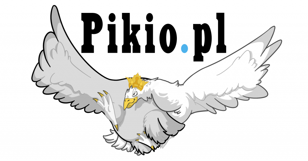 Czytelnicy pikio.pl przeciwko JOW-om i za likwidacją finansowania partii z budżetu