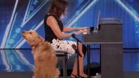 Wszyscy w "Mam talent" zaczęli się śmiać, gdy powiedziała, że jej pies umie śpiewać. Jak zwierzak zaczął występ, oszaleli na jego punkcie