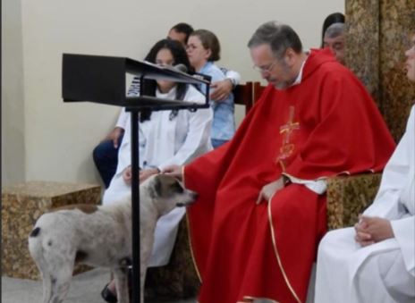 W trakcie mszy po kościele zaczęły biegać bezpańskie psy. Ludzie wpadli w panikę, ale gdy poznali prawdę, wielu nie mogło powstrzymać łez