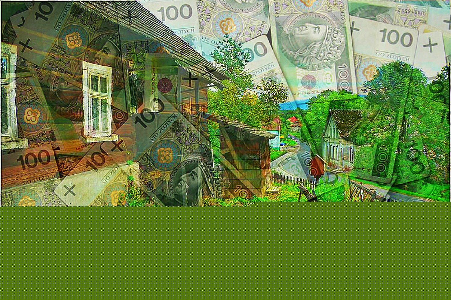 Polscy wieśniacy oskubują amerykanów co do grosza. "To żyła złota"