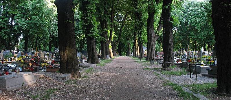 Poszli na cmentarz i ujrzeli rozpaczliwy widok. Koszmar mieszkańców południowej Polski, służby w akcji