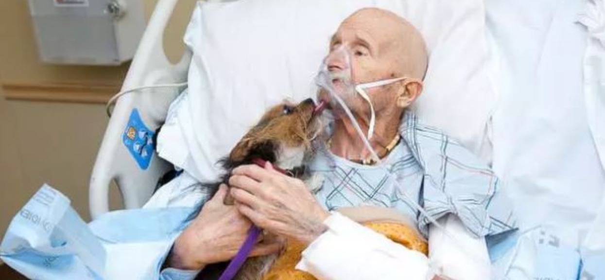 Piesek odwiedził po raz ostatni umierającego w hospicjum pana. Reakcja mężczyzny sprawiła, że wszyscy płakali